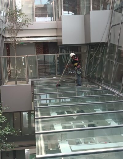 Building facade cleaning services carried out by trained exterior cleaning professionals
